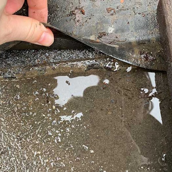 Daklekkage-verzekerd